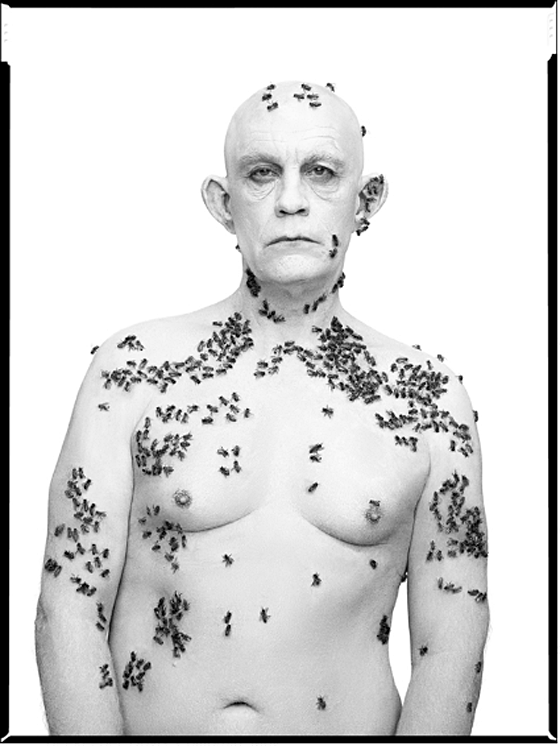 Richard Avedon / Ronald Fisher, Beekeeper, Davis, California, May 9 (1981), 2014