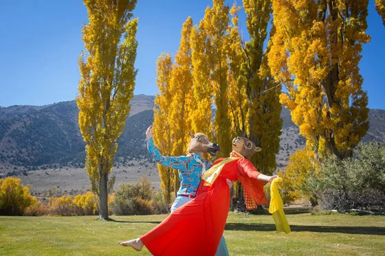 DANCING TREES: H orace tilts his head way back to get the full view of a giant yellow tree. “My God Agnes, come look at this. These trees are magnificent.” Agnes is heading over from the car. She’s already taken her shoes off to feel the grass beneath her feet. “Oh Horace, you are so right, absolutely beautiful.” The wind picks up and the trees start swaying back and forth. “..and they’re dancing”, she quickly adds. N ot to be outdone by a tree, Horace scoops up Agnes and begins his version of a waltz. " Horace, you’re crazy. There isn’t even any music.” " Well then, you better start singing.” he says. H e twirls her around the trees and then goes for a big dip. Unfortunately, between their forward momentum, and a heavy gust of wind, they both fall over. They are all tangled up and laughing hysterically. As he helps her to her feet he pronounces, “I guess I need to take another class at Arthur Murray, or at the very least, a trip to the gym.”
