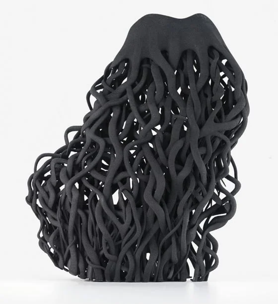 2013: Iris van Herpen, Beyond Wilderness.