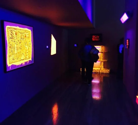 Black light room at the de Young. Photo by Julia Gruen