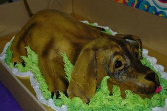 cake-fail-12.jpg