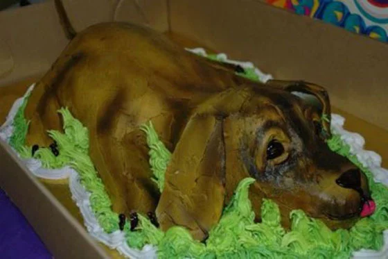 cake-fail-12.jpg