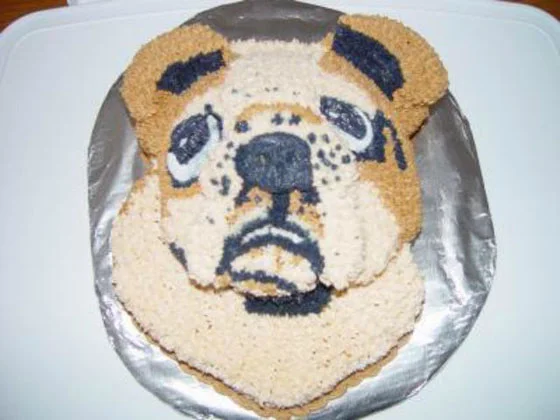 cake-fail-15.jpg