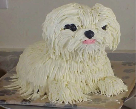 cake-fail-featured.jpg