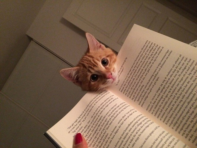 reading-pets1.jpg