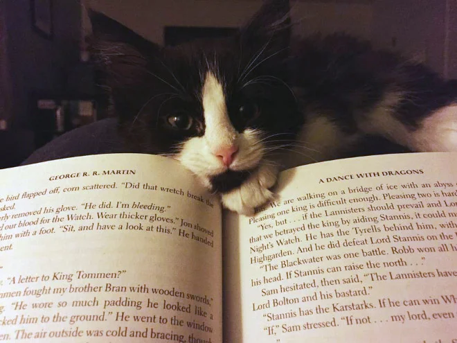 reading-pets9.jpg