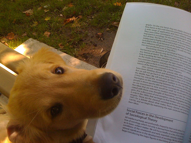 reading-pets13.jpg