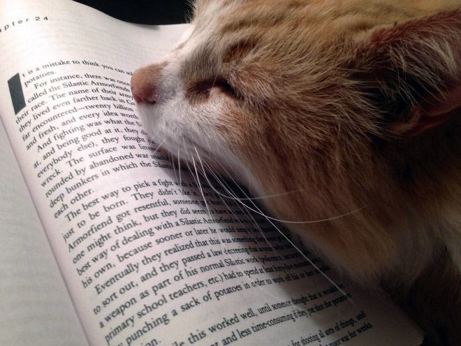 reading-pets16.jpg