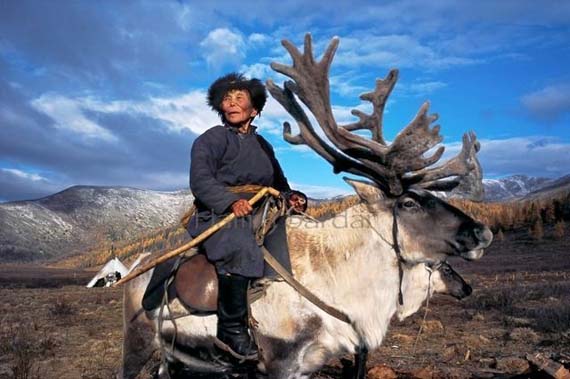 mongolia_reindeer_tribe_3.jpg