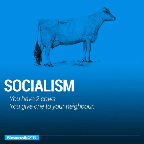 THE WORLD'S GOVERNMENTS EXPLAINED WITH TWO COWS — Trey Speegle