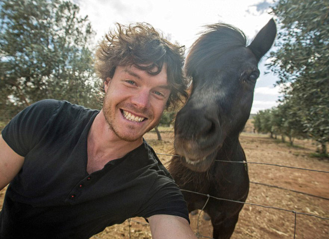 animal-selfie-donkey.jpg