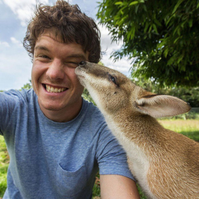 animal-selfie-kiss.jpg