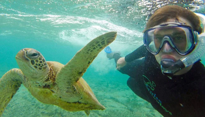 animal-selfie-turtle.jpg