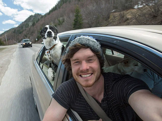 animal-selfie-wind.jpg