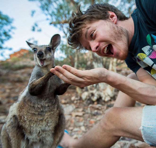 animal-selfie-wow.jpg