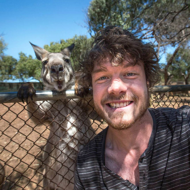 animal-selfie-zoo.jpg