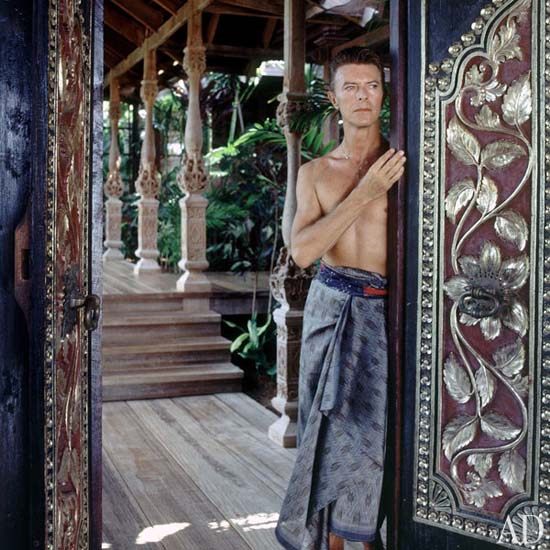 dam-images-celebrity-homes-1992-david-bowie-david-bowie-03-portrait.jpg