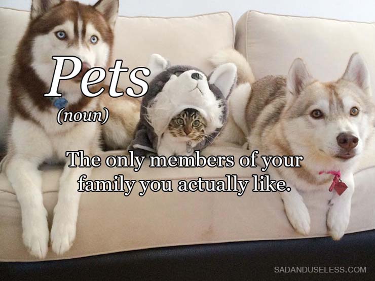 word-pets.jpg