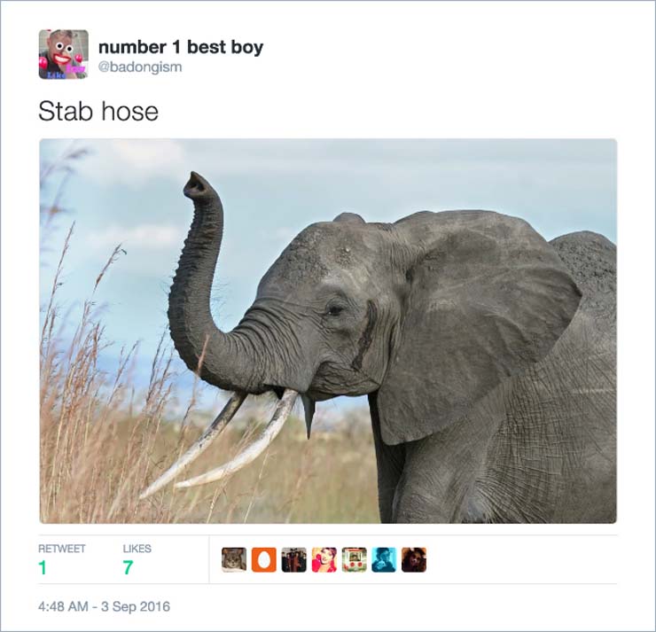 name-elephant.jpg