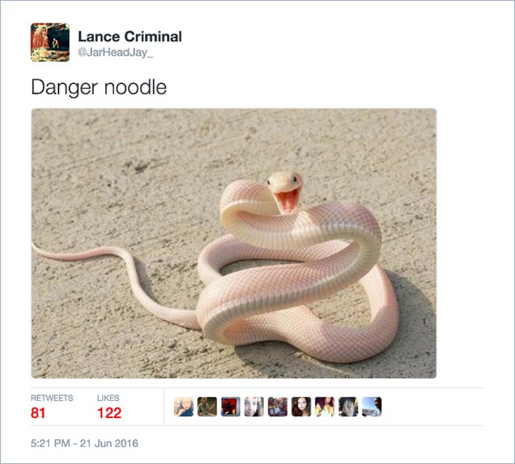 name-snake.jpg