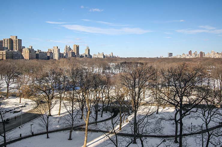 7_160CentralParkSouth_147_View_HiRes.jpg