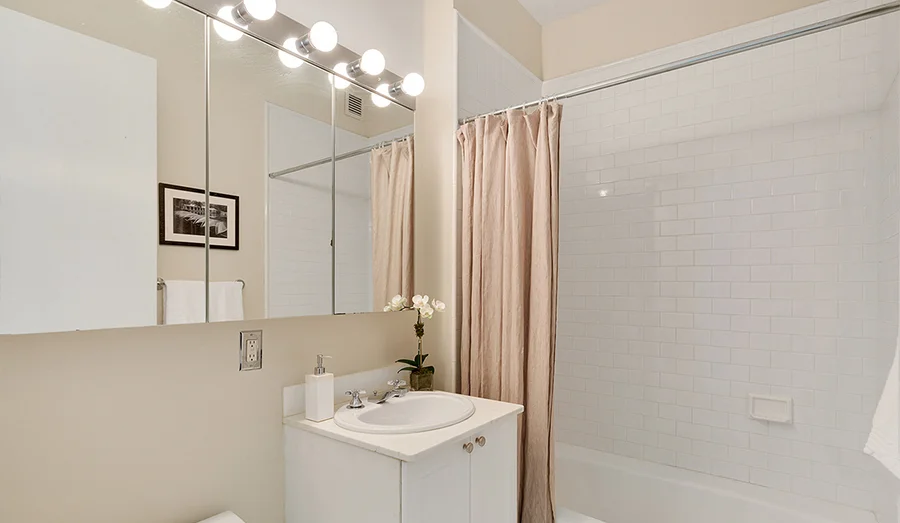 franlebowitz_nyc7.jpg