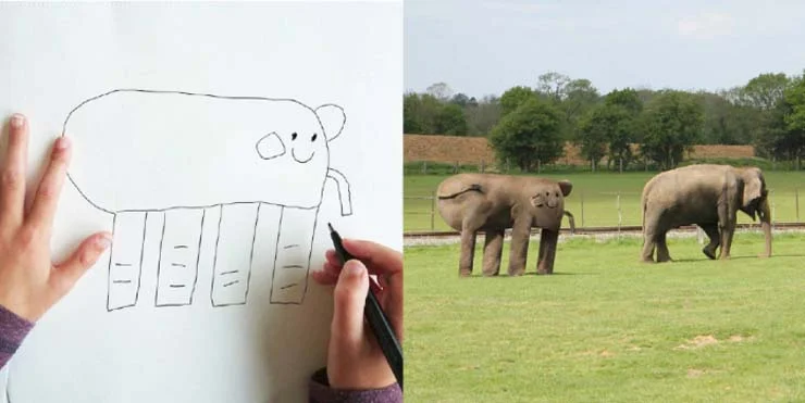 elephant2.jpg