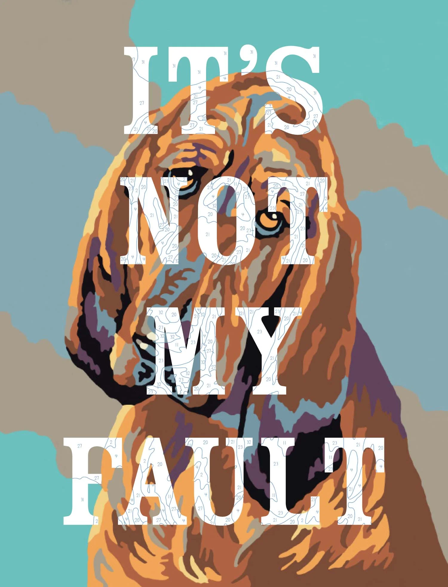 IT'S NOT MY FAULT