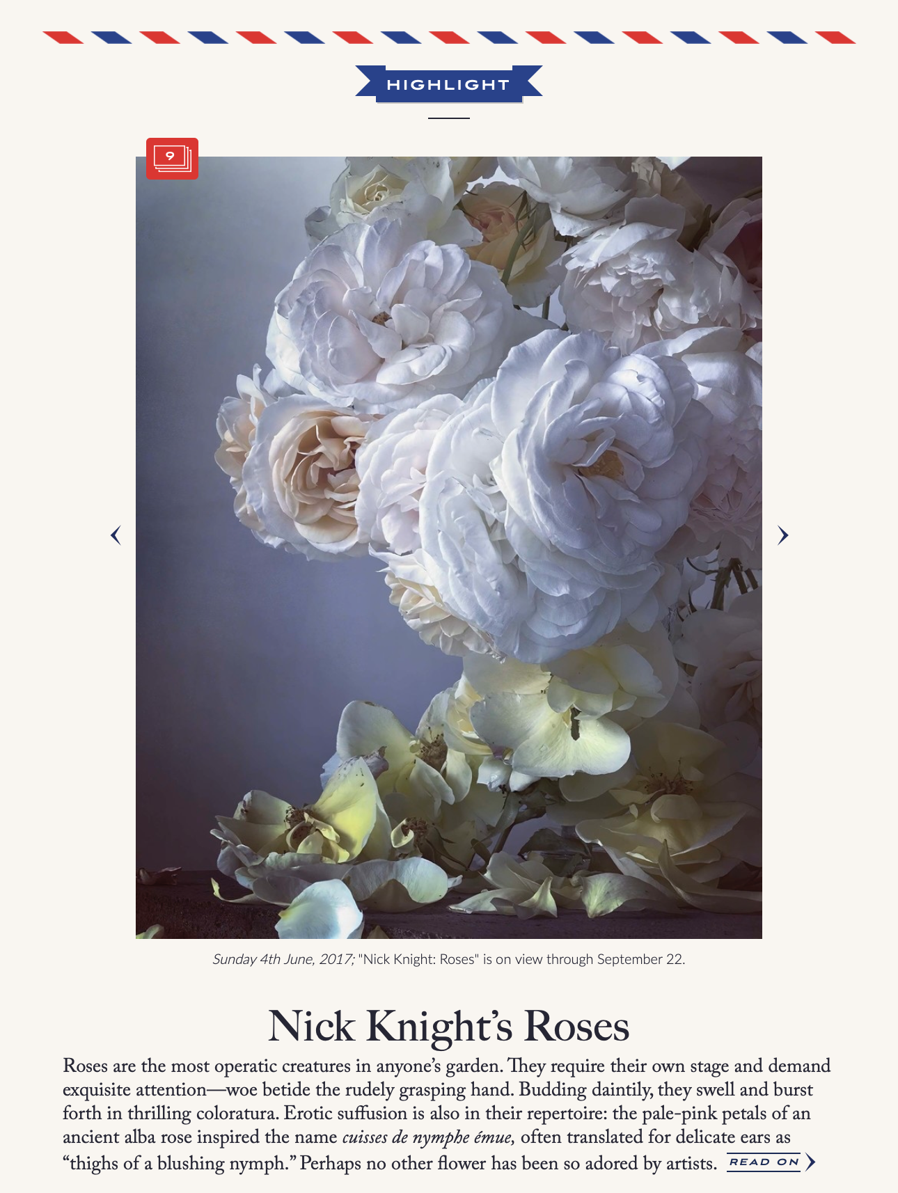 Screen Shot 2019-08-03 at 11.42.21 AM.png