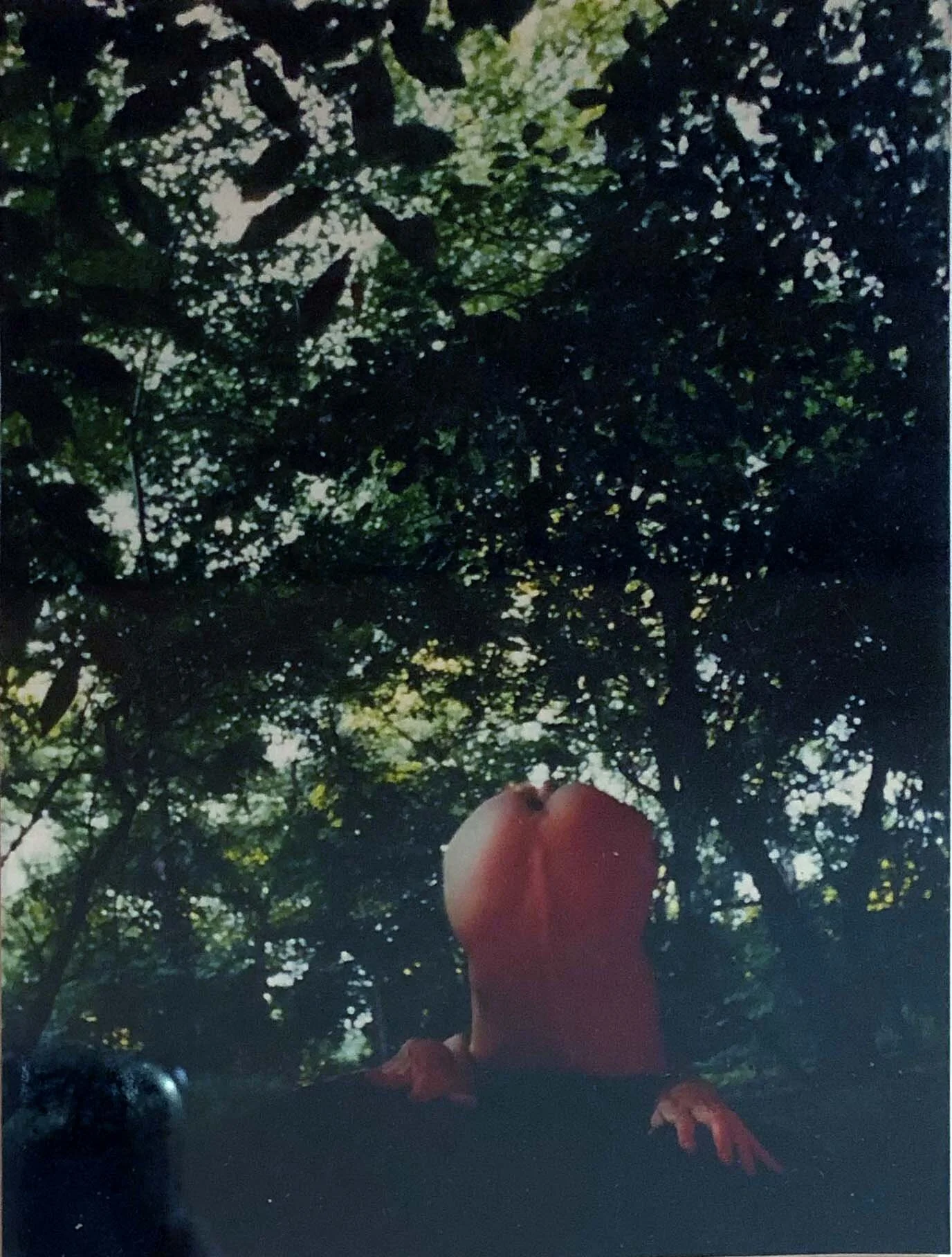 JIMMY DESANA, ASS UP, 1984