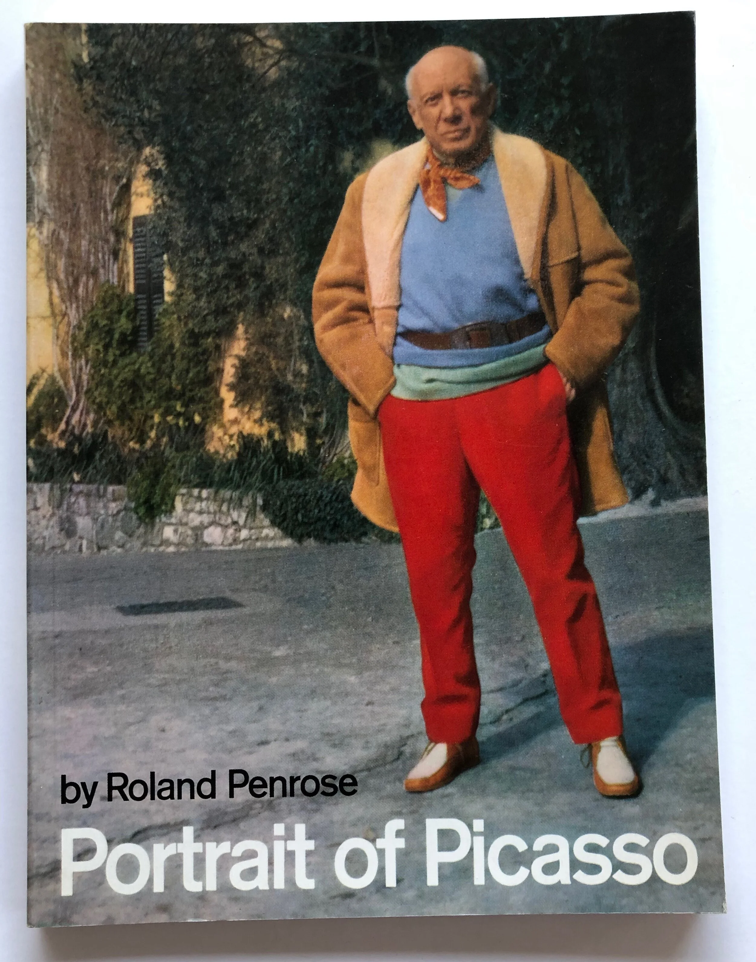 PicassoPenroseCover.jpeg