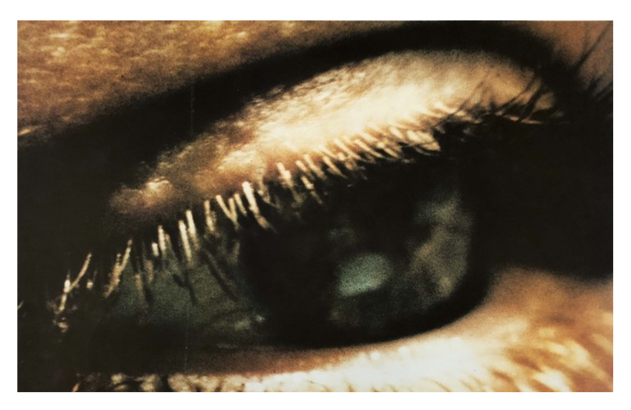 EyeCenterSpread.png