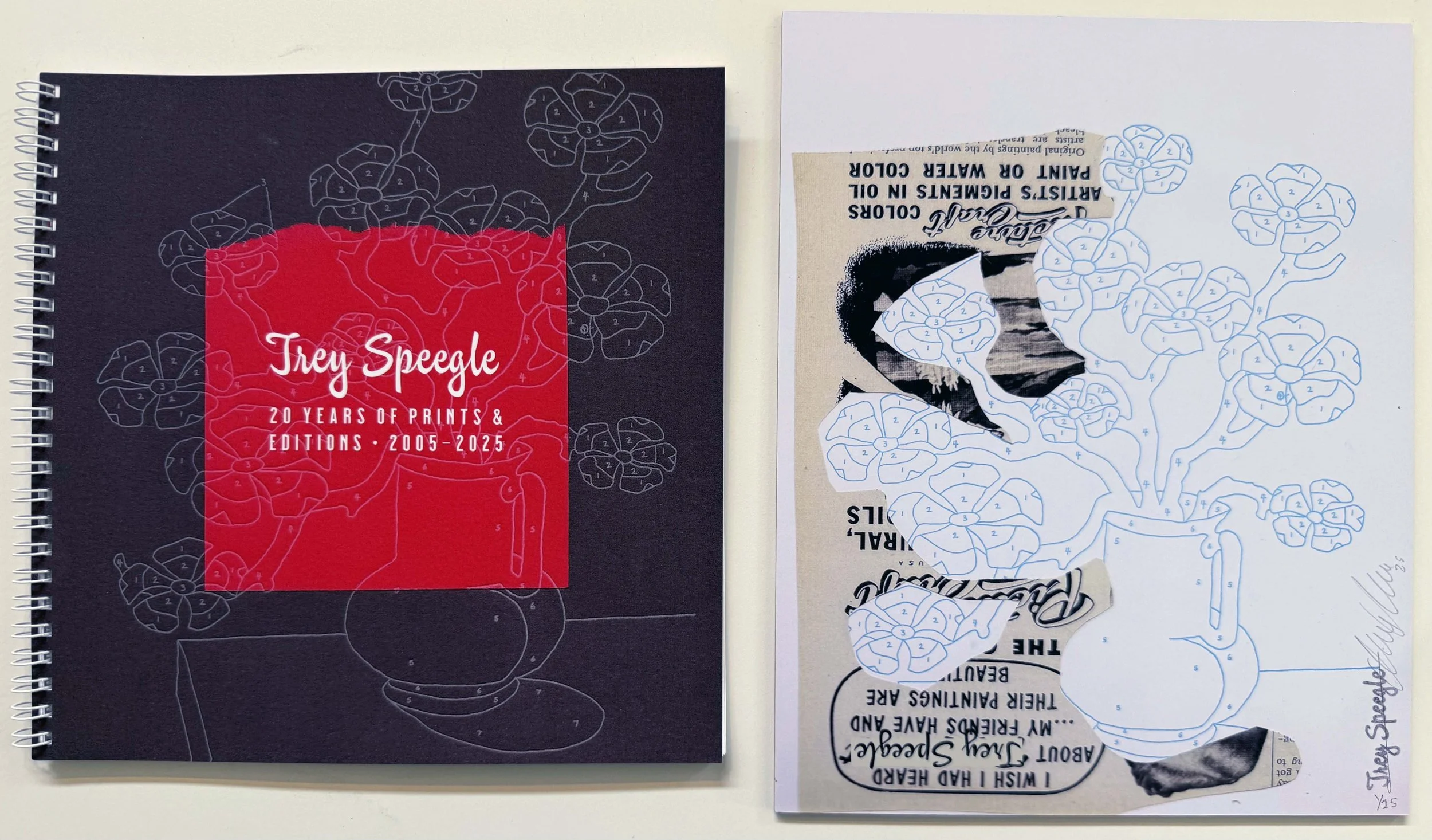 TREY SPEEGLE: 20 YEARS OF PRINTS Special Edition with Mounted Print