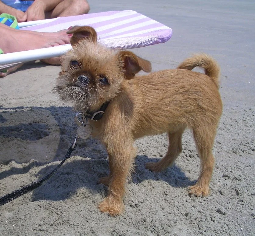 lamontebeach.JPG