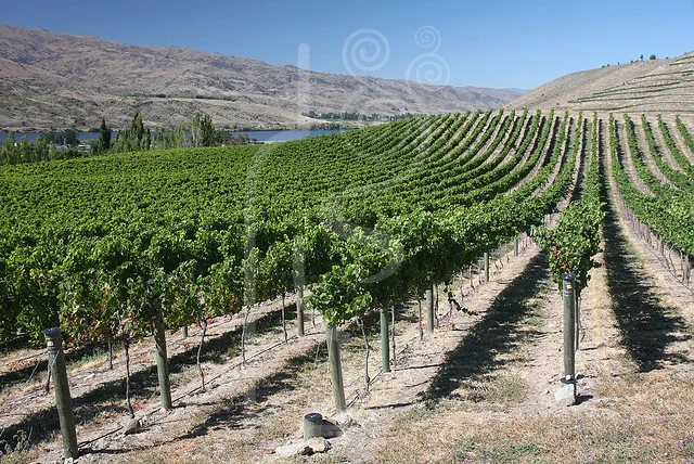 central_otago_lake.jpg