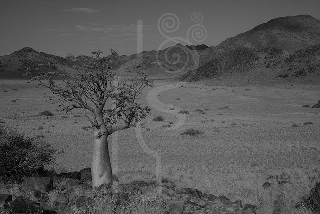 desert_in_namibia.jpg