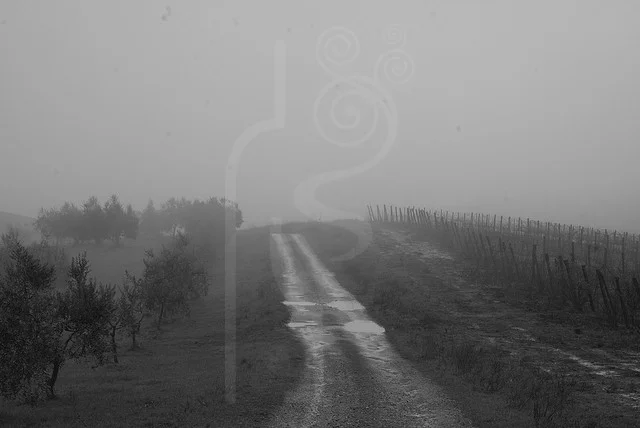 fog_in_chianti_b&w.jpg
