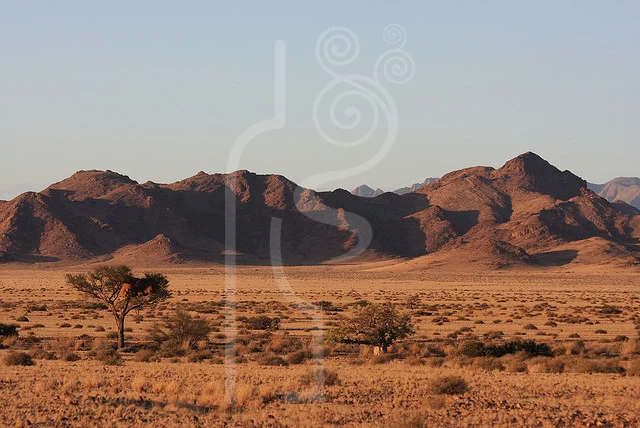 namibia.jpg