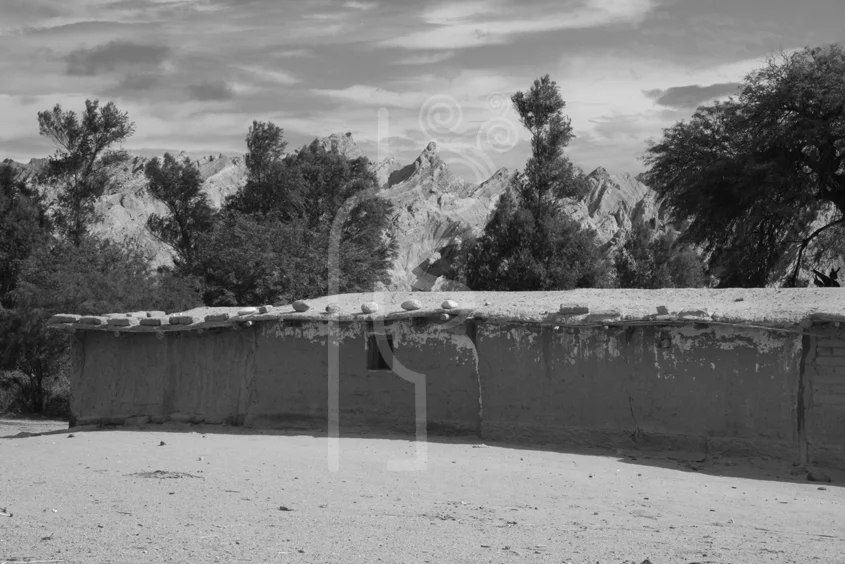 on_the_way_back_cafayate.jpg