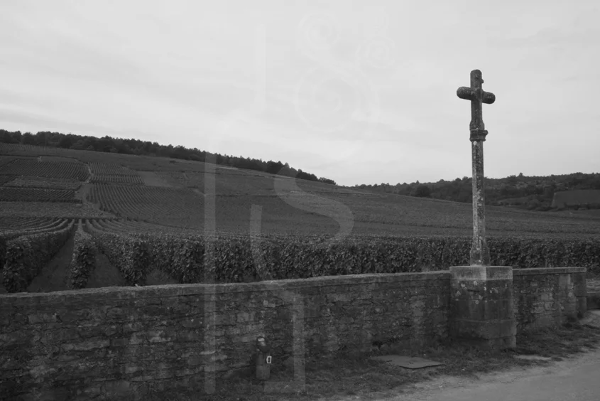 romanée-conti.jpg