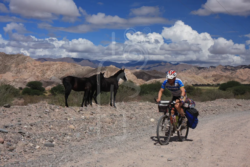 salta_argentina.jpg