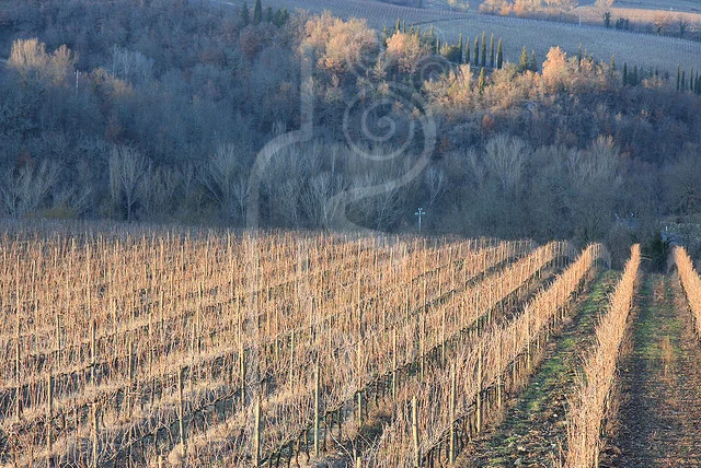 winter_in_chianti.jpg