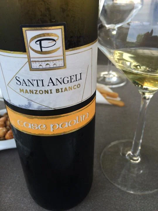 Santi Angeli Case Paolin Manzoni Bianco 2011...