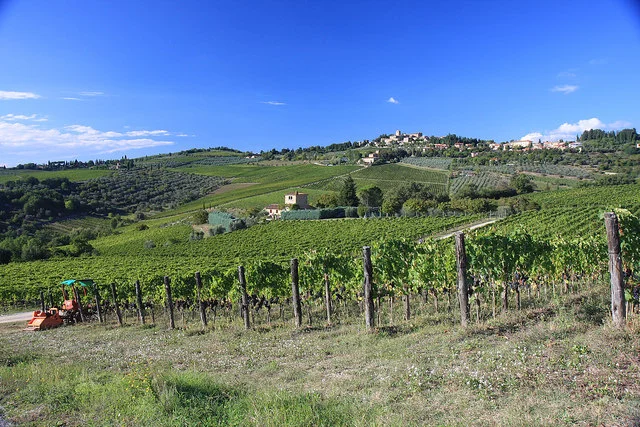 Pretty Good Vintage 2014 in Chianti Classico....