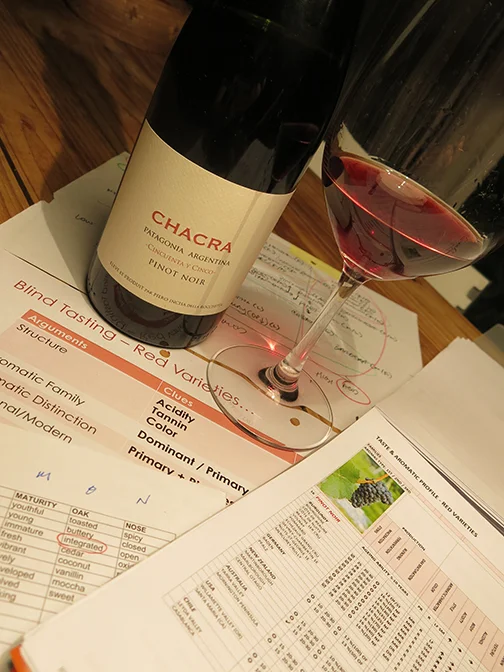 Chacra Cincuenta y Cinco Patagonia Pinot Noir 2012... A delightful surprise...