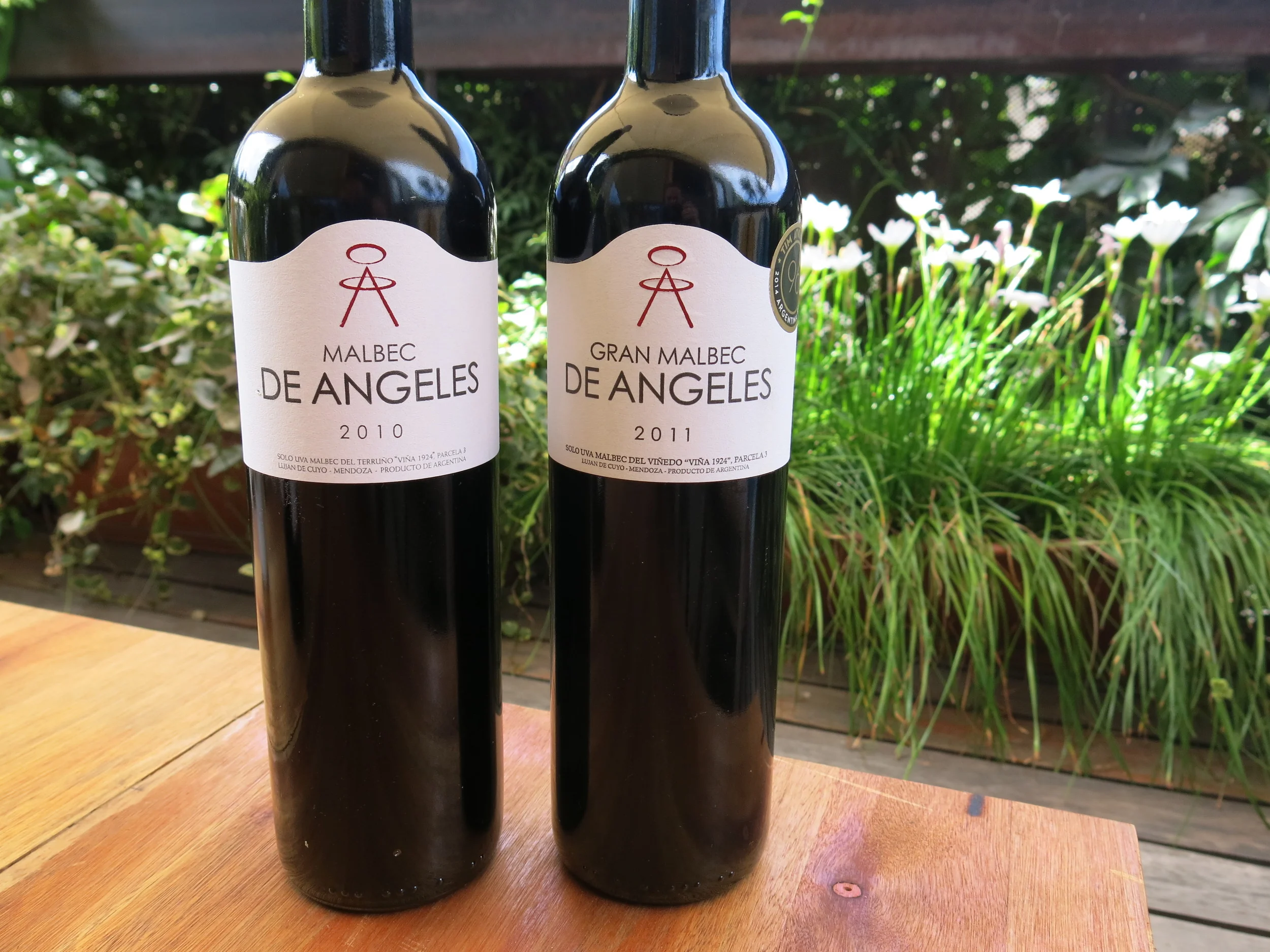 DeAngeles Medoza Malbec 2010 vs Gran Malbec 2011