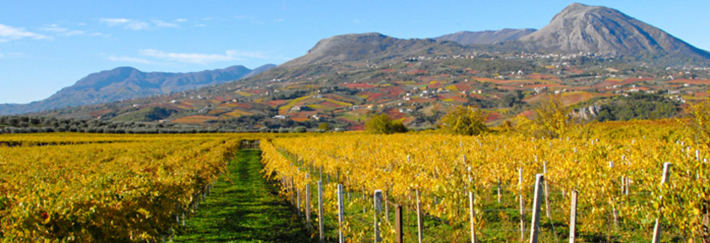 Campania - Aglianico del Taburno