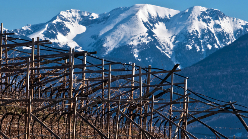 Trentino - TrentoDoc