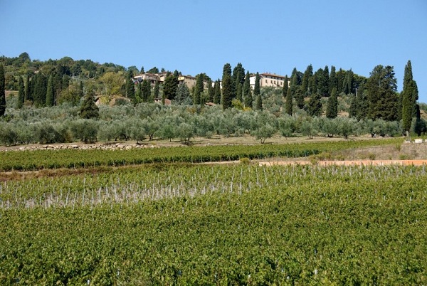 Tuscany - Carmignano