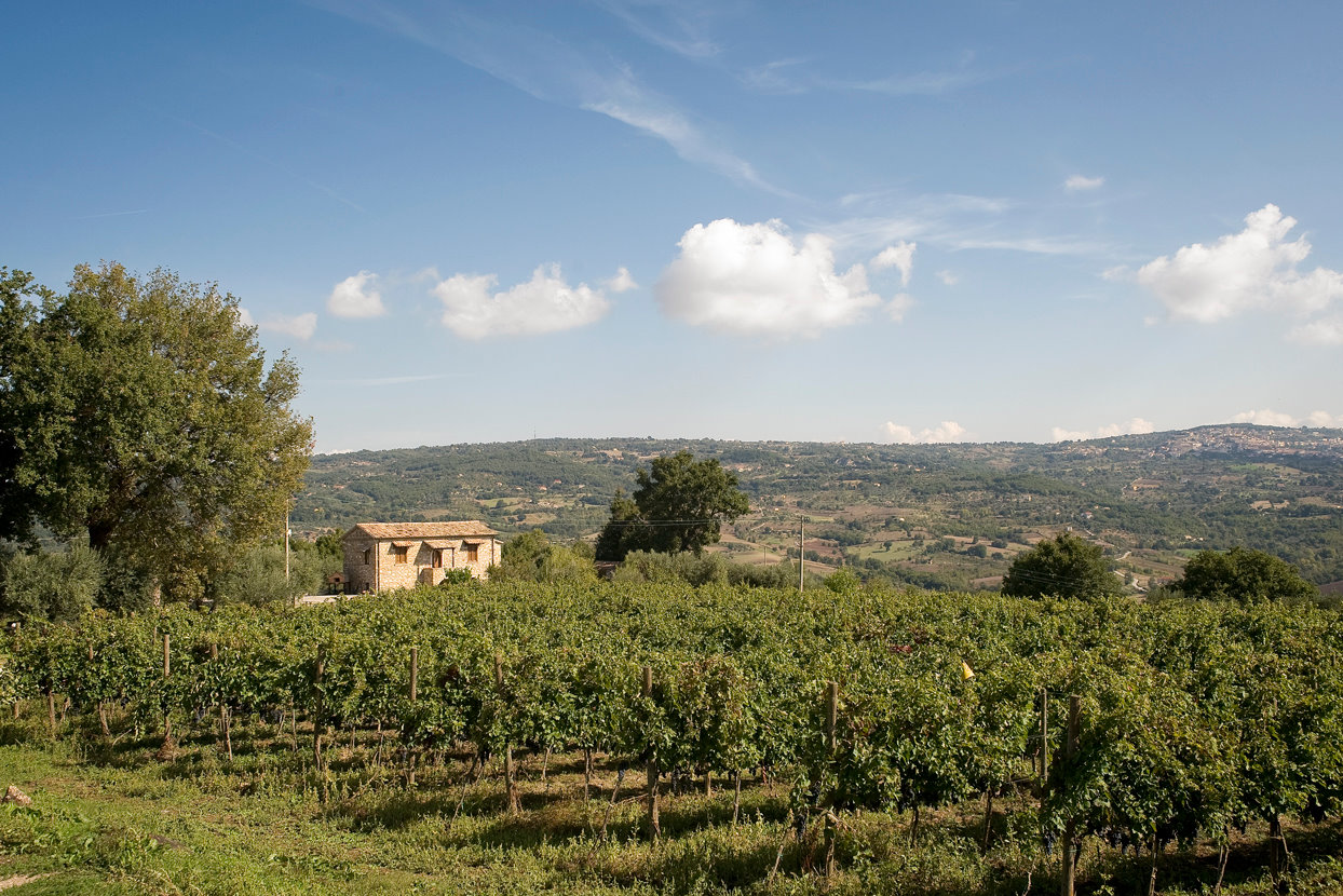 Campania - Fiano di Avellino